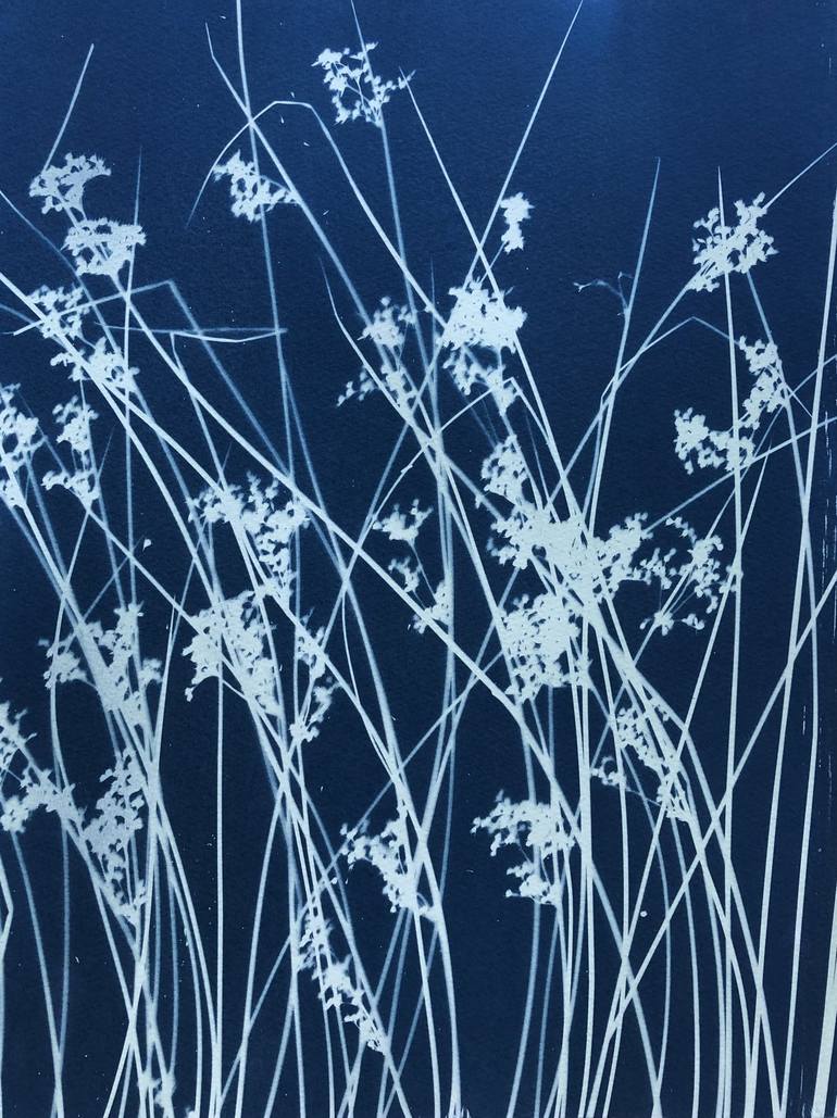 Original Fine Art Nature Printmaking by Christine So