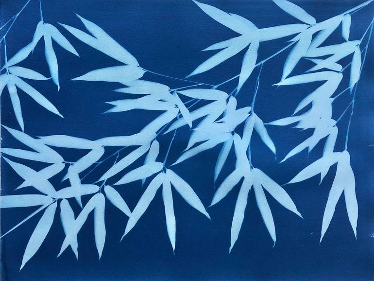 Original Expressionism Botanic Photography by Christine So