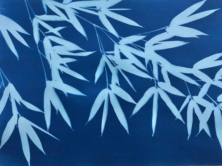 Original Expressionism Botanic Photography by Christine So