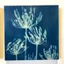 Beeswax over a single exposure cyanotype
