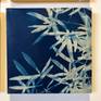 Beeswax over age Apple exposure cyanotype
