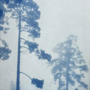 Collection Foggy Woods (Hand-printed original photos of California landscapes printed using the cyanotype process)