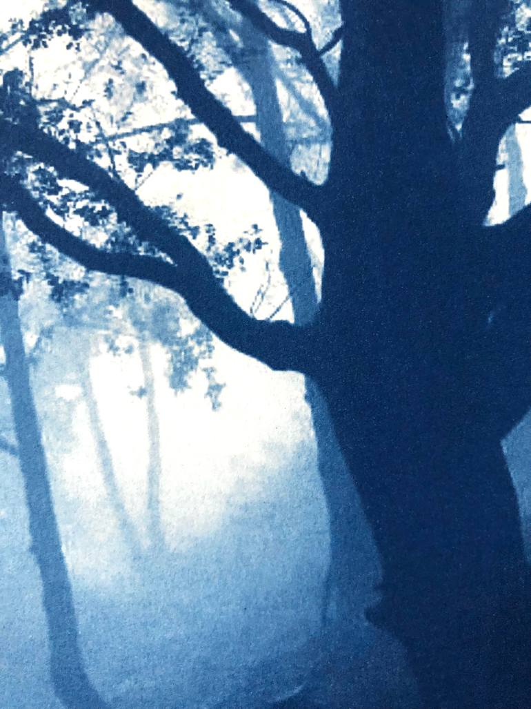 Original Other Nature Photography by Christine So