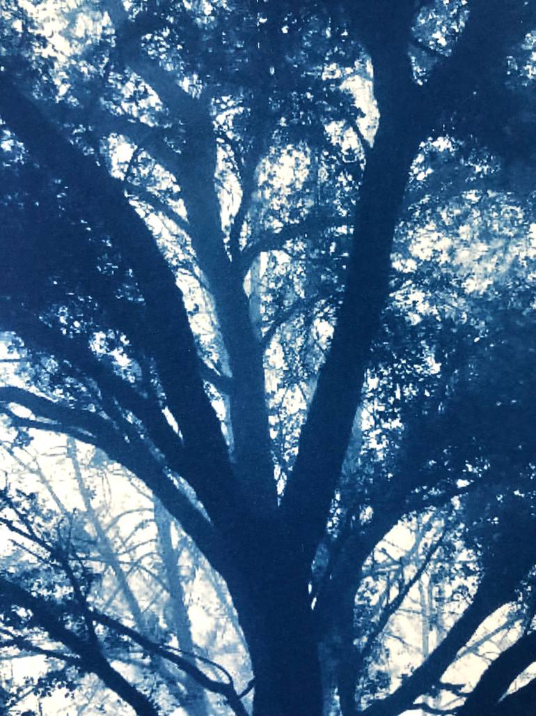 Original Other Nature Photography by Christine So