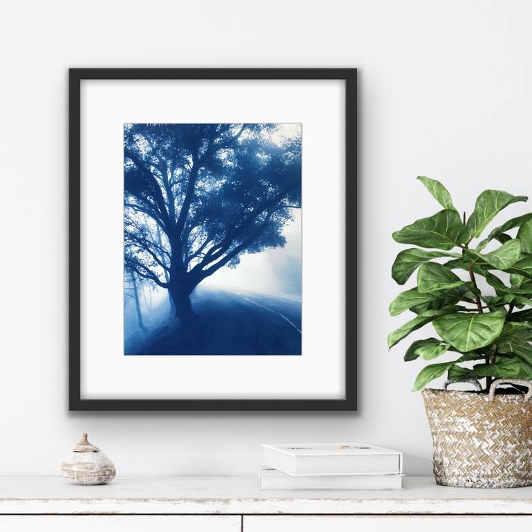 Original Other Nature Photography by Christine So