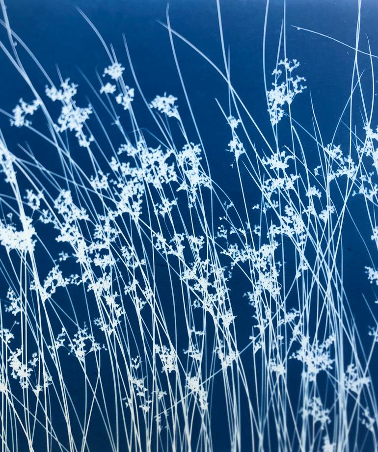Original Minimalism Nature Photography by Christine So