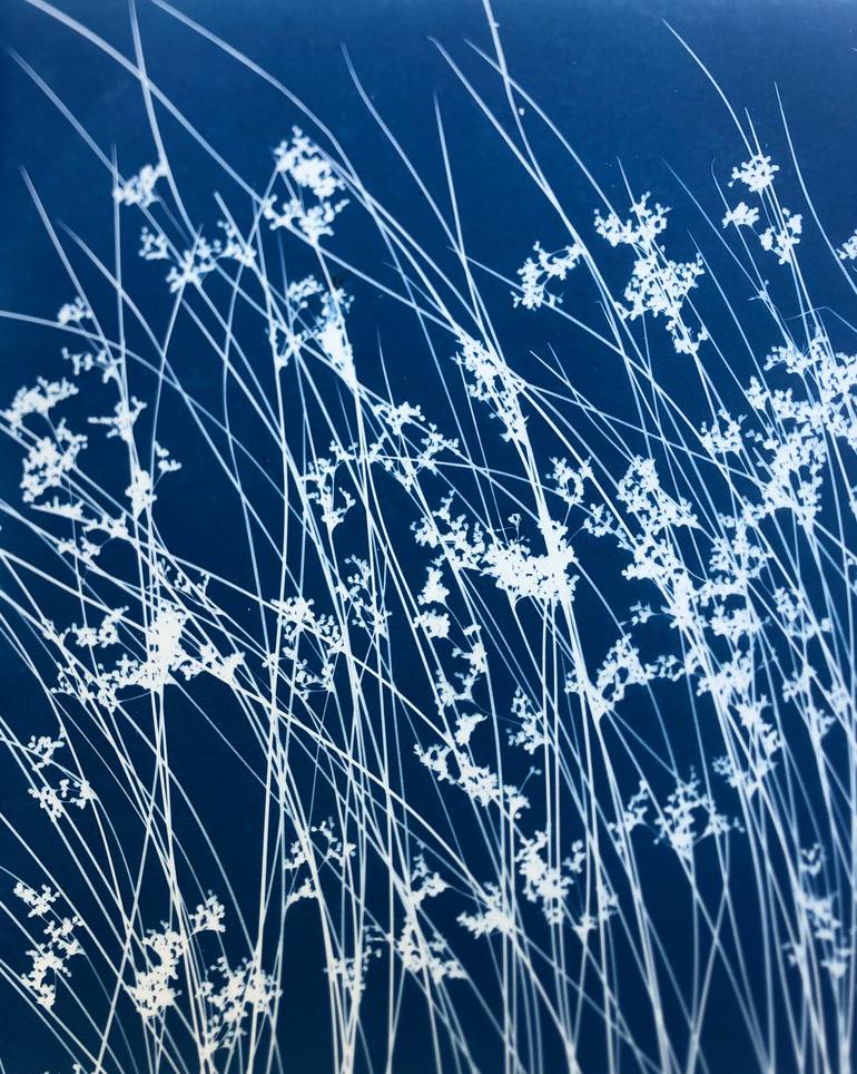 Original Minimalism Nature Photography by Christine So