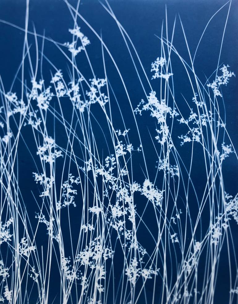 Original Minimalism Nature Photography by Christine So