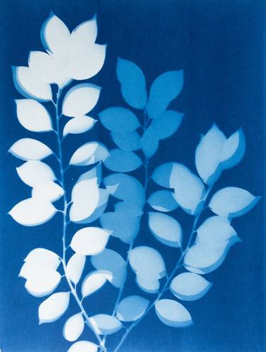 Original Fine Art Botanic Printmaking by Christine So