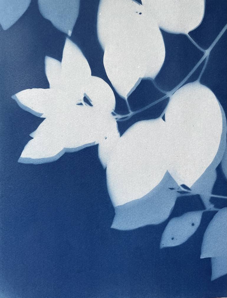 Original Fine Art Botanic Printmaking by Christine So