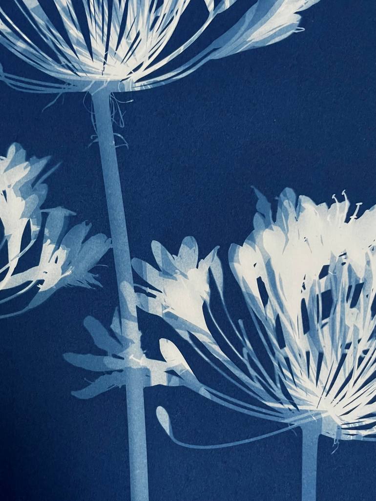 Original Minimalism Botanic Photography by Christine So