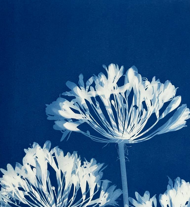 Original Minimalism Botanic Photography by Christine So