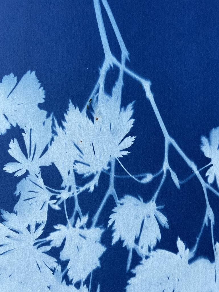 Original Contemporary Botanic Printmaking by Christine So