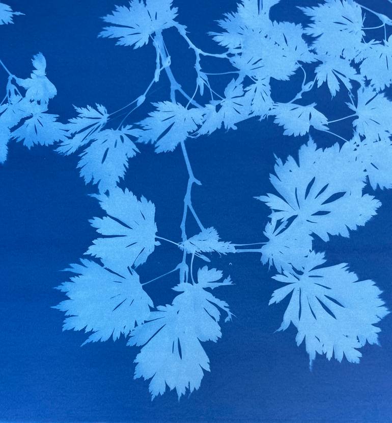 Original Other Botanic Photography by Christine So