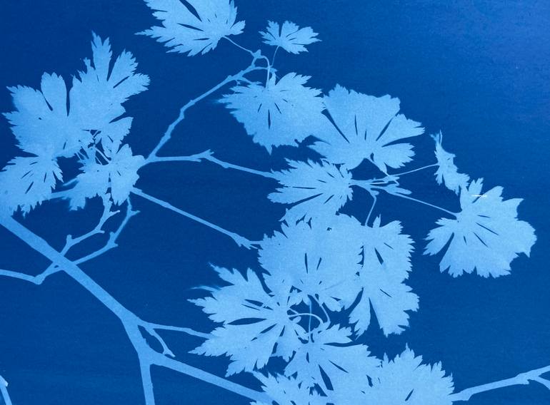 Original Other Botanic Photography by Christine So