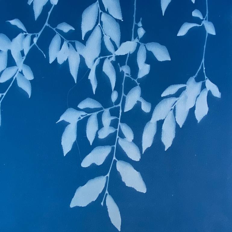 Original Monochrome Botanic Photography by Christine So