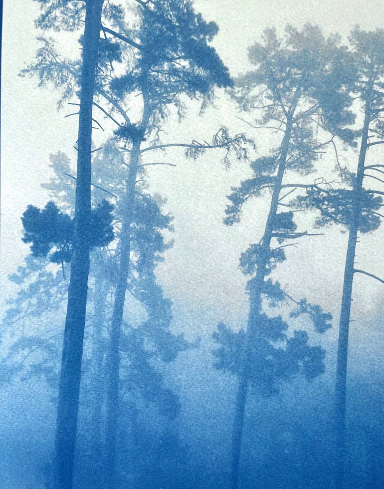 Original Realism Landscape Photography by Christine So