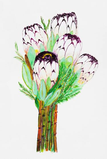 Original Illustration Botanic Paintings by Ralu Per