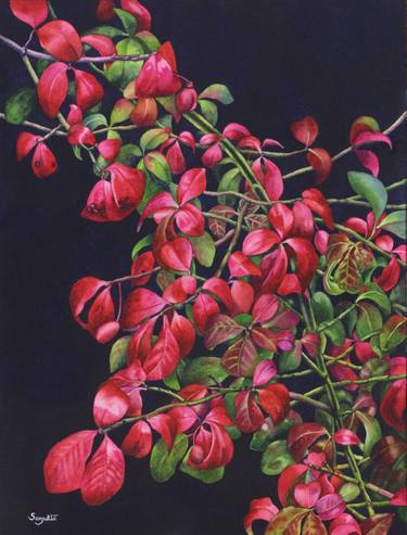 Original Botanic Paintings by SANJUKTA ACHARYA