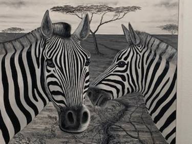 Mother Daughter in SA Zebras thumb