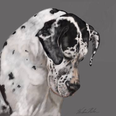 Great Dane in Thought thumb