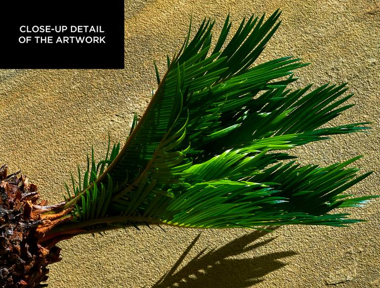Original Abstract Botanic Photography by Patrick Steel