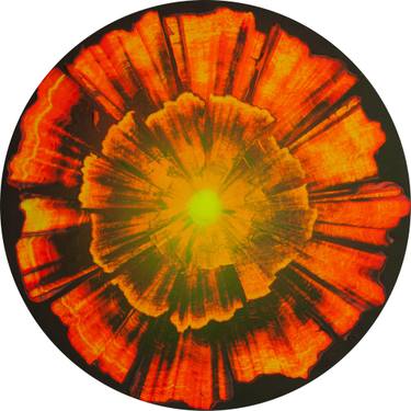 Lava flower #9 thumb