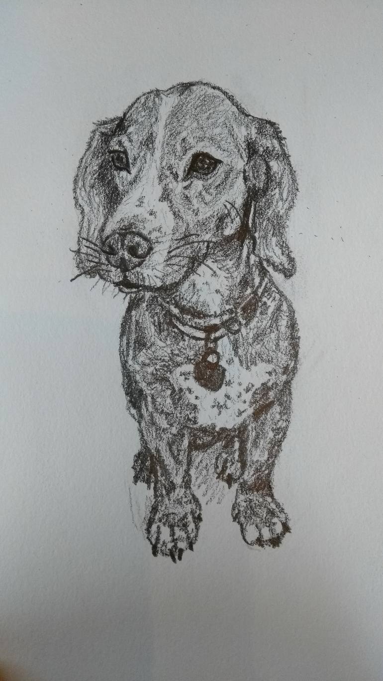 Muttley Drawing by Camilla Crawshaw | Saatchi Art