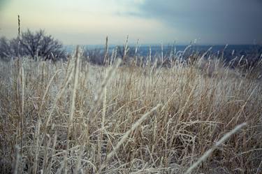 Original Realism Landscape Photography by Vitali Pikalevsky