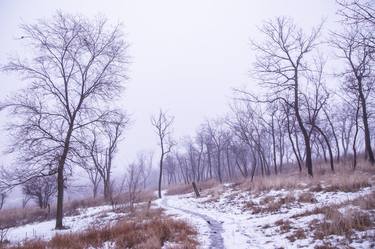 Print of Realism Landscape Photography by Vitali Pikalevsky