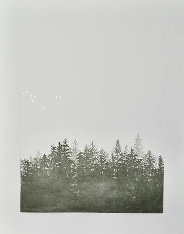 Original Tree Printmaking by angus hampel