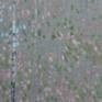 Can you see the deer?
