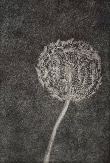 Original Botanic Printmaking by angus hampel