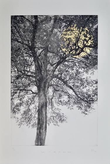Original Tree Printmaking by angus hampel