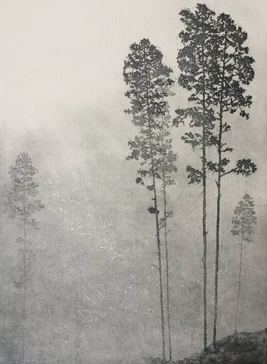 Original Tree Printmaking by angus hampel