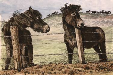 Welsh Mountain Ponies thumb