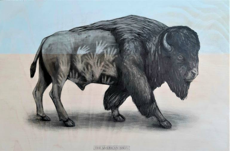 bison illustration