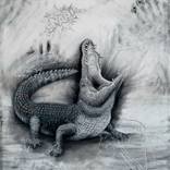 The Nile Crocodile by Tom Van Herrewege