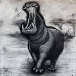 The Hippopotamus by Tom Van Herrewege