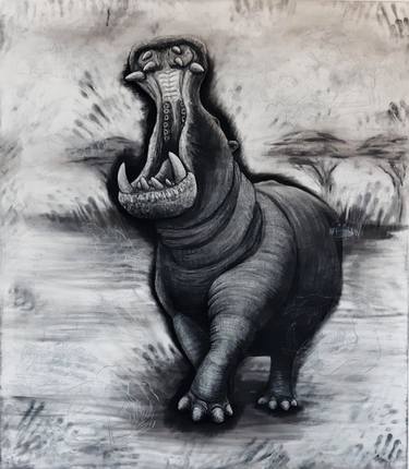 Saatchi Art Artist Tom Van Herrewege; Drawings, “The Hippopotamus” #art
