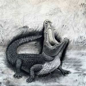The Nile Crocodile