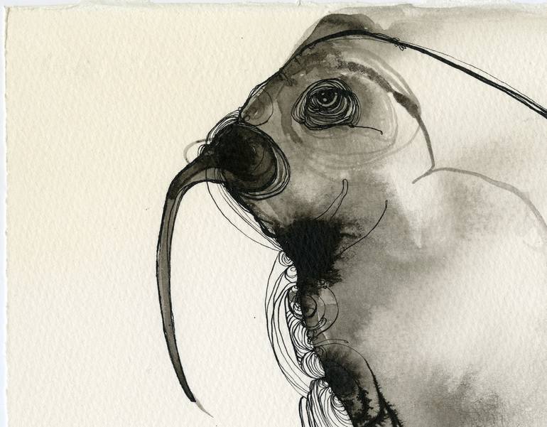 Original Fine Art Animal Drawing by Betsy Jones