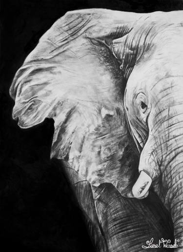 African Elephant (Print) thumb