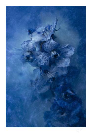 'Sink Into Blue', Signed, - Limited Edition of 48 thumb