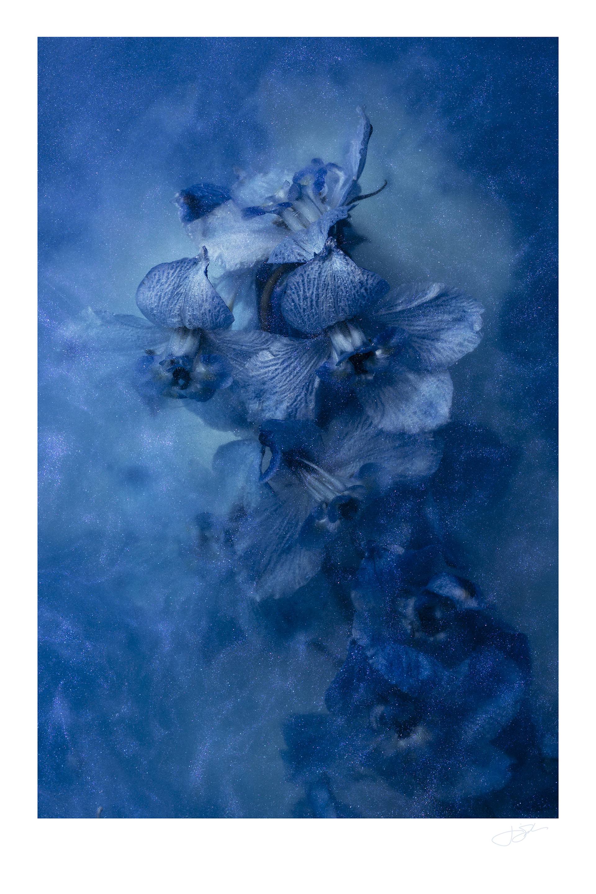 Saatchi Art Artist Jim Spelman; Photography, “’Sink Into Blue’, Signed, - Limited Edition of 48” #art
