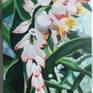 Ginger Flower