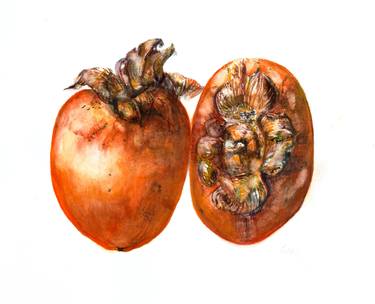 Persimmon thumb