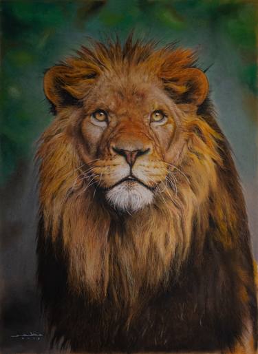 Print of Realism Animal Drawings by Mazher Sadiq