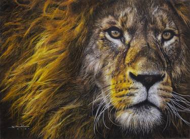 Print of Realism Animal Paintings by Mazher Sadiq