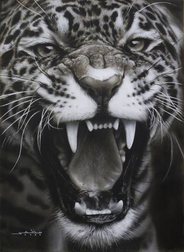 Print of Realism Animal Drawings by Mazher Sadiq